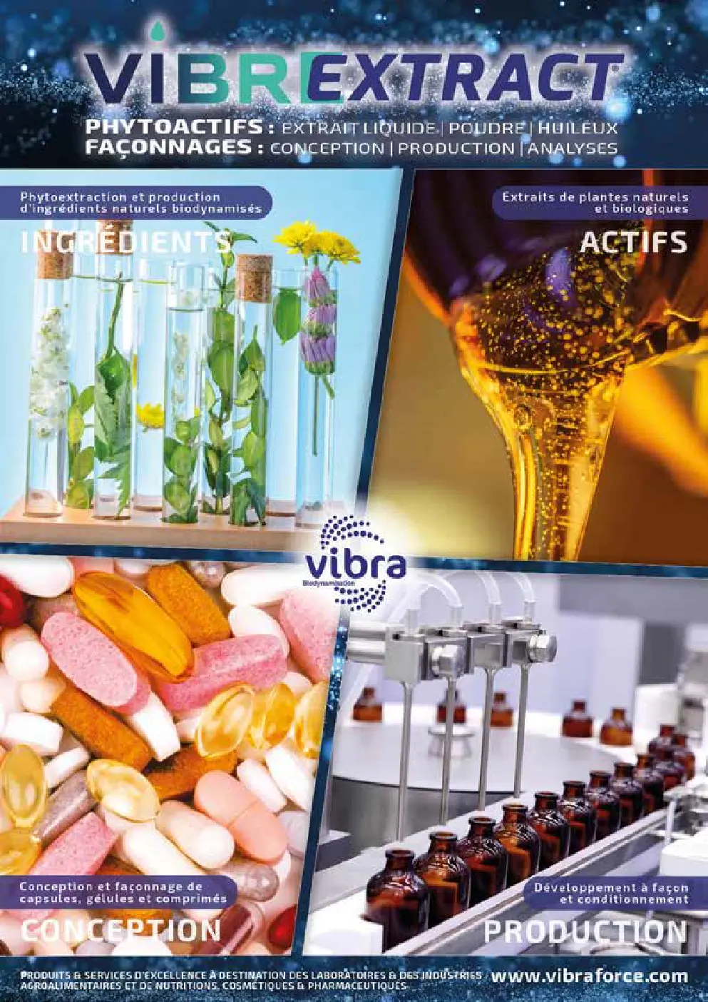 Image du document pdf : brochure du laboratoire vibraforce sur phytoextraction et production d